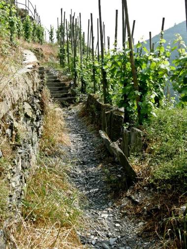 Ferienwohnung Altstadt