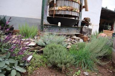 Winzerhaus Wehlener Sonnenuhr