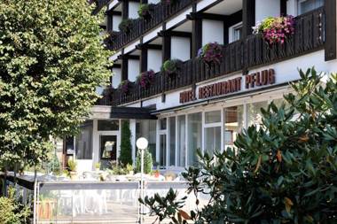 Hotel Pflug