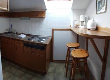 Schlafende Hexe im Buchenwald