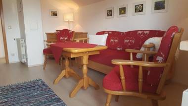 Schlafende Hexe im Buchenwald