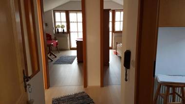 Schlafende Hexe im Buchenwald