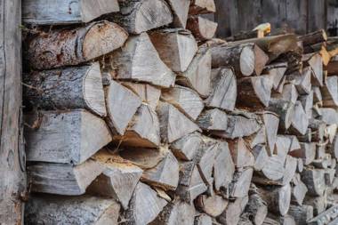 Ferienwohnung Obersee