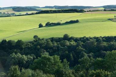 Zum Goldenen Schaf II