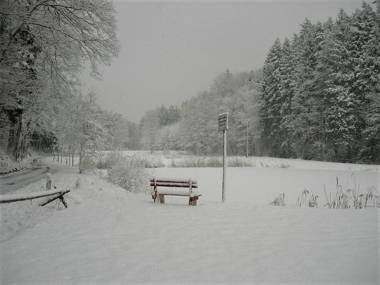 Waldhotel Linzmühle