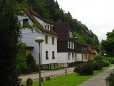 Spacious group house in the Harz region with a fenced garden