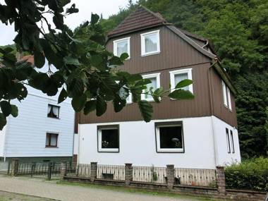 Spacious group house in the Harz region with a fenced garden