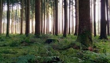 Ferienwohnung Schwalm-Aue