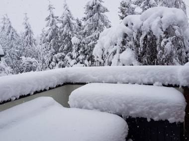 Cozy Apartment in Satow Kuhlungsborn and Doberan with garden