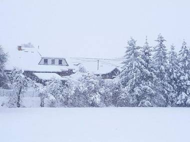 Cozy Apartment in Satow Kuhlungsborn and Doberan with garden