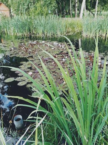 Landpension Heidi Machold