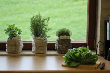 Auszeit auf dem Lindenhof