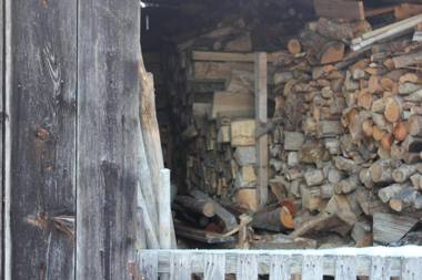 Auszeit auf dem Lindenhof