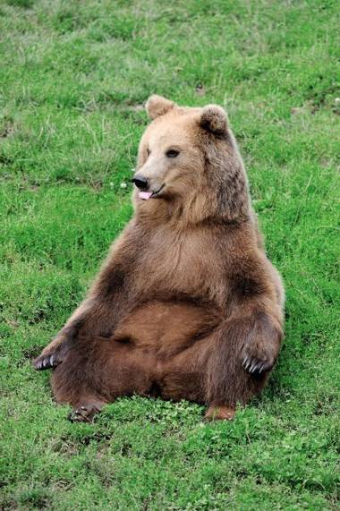 Erlebnispark Tripsdrill Natur-Resort