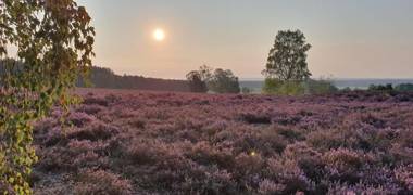 Residenzia Hotel Grenadier