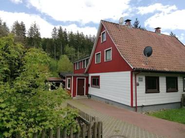 Beautiful semi-detached house in the Harz with wood stove garden and direct river access