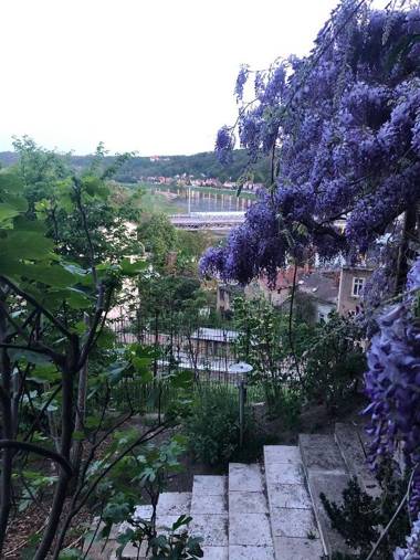 Ferienwohnung Burkhardt