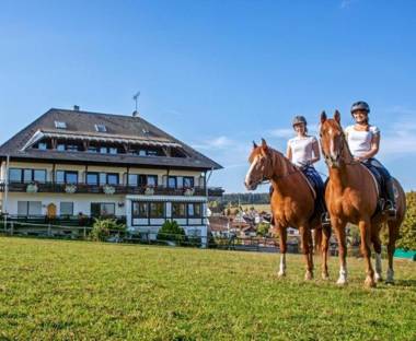 Landpension Pferdekoppel