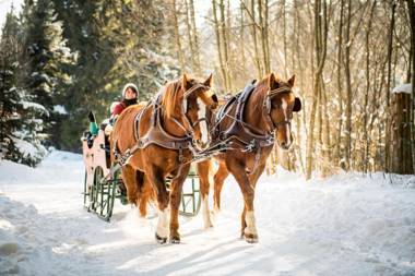 Landpension Pferdekoppel