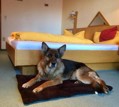 Pension Sonnleit´n - Urlaub mit Hund