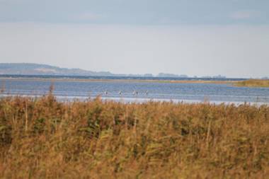 Käpt'n Kalle Ferienwohnungen