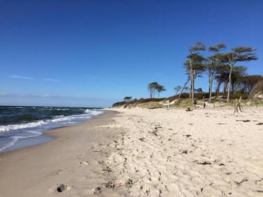 Ferienhaus Strandgut