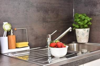 Whg 04 - Seeschwalbe