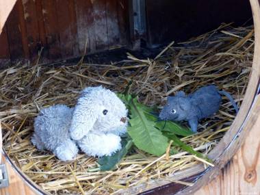 Omi-Zingst - Haus Dora