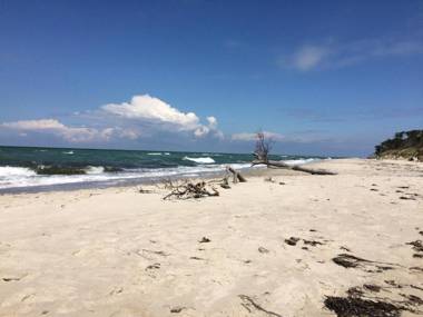 Ferienwohnung Seeigel