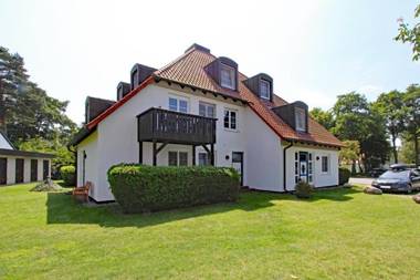 Kormoran Wald und Strand