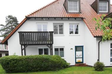 Kormoran Wald und Strand