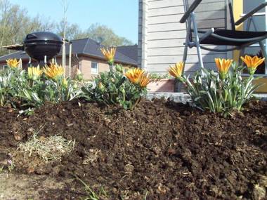 Ferienhaus _ Sonnenschein