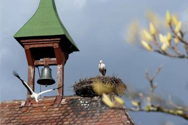 Ferienwohnung Claudi
