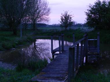 Ferienwohnung Haumannshof