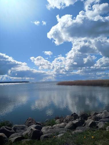 Fischstuebchen Neeberg