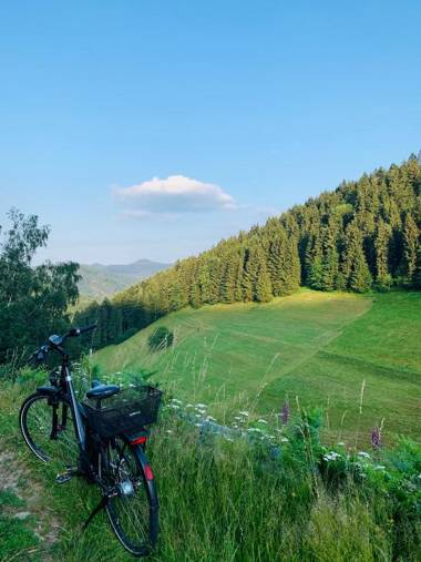 Landhotel Hirschen