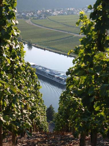 Weingut Gorges-Reinhard