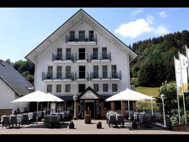Land-Hotel Haus am Stein Winterberg mit Pool