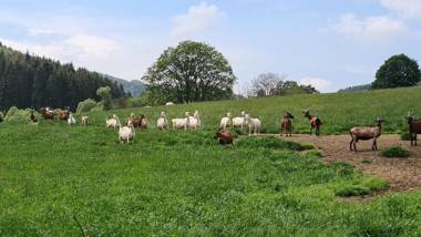 Vakantiehuisje Winterberg