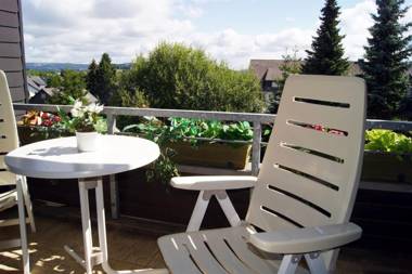 Winterberg Appartement 21077