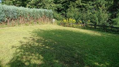 Ferienhaus Winterberg