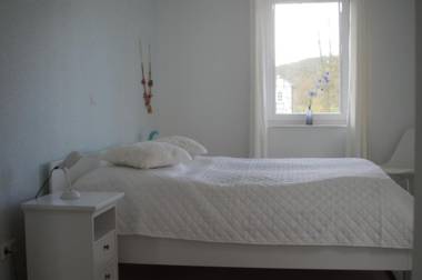 Das gelbe Haus 1