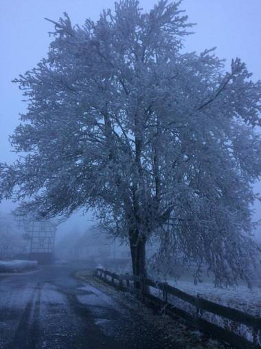 Ferienapartment Landwohnung Laura