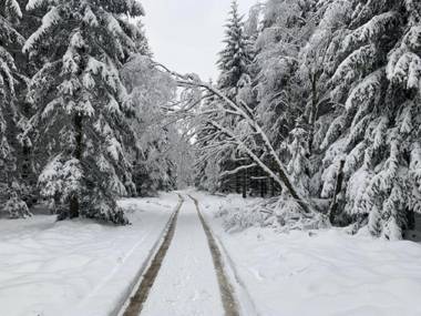 Ferienwohnung Bergstraße