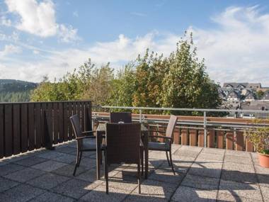 Large Apartment near Ski Area in Winterberg Germany