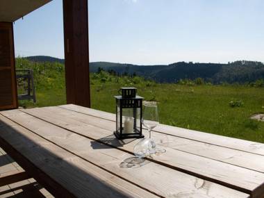 Luxurious apartment in Winterberg-Neuastenberg with private sauna