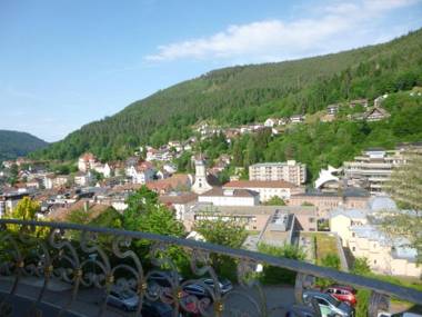 Ferienwohnung Saline
