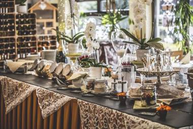 Altstadt Pension Orchidee