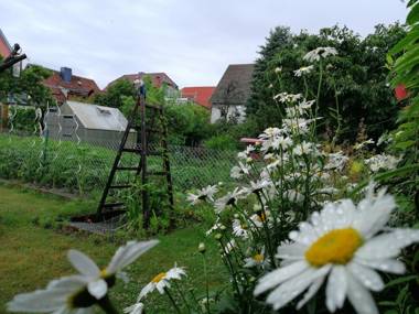 Barrierefreie Ferienwohnung im Harz - Schreiberstraße 28 Wernigerode
