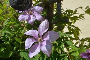 Ferienhaus der Seeweiherturm
